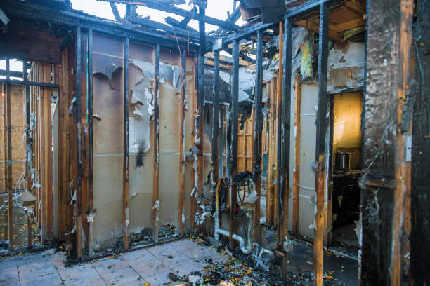 Professional Fire Damage Removal technician working in Plano, TX